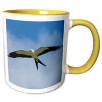 3Drose Swallow-Taiked Kite in Flight, Florida, САЩ-Две тонална жълта халба, 11-унция