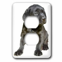3Drose очарователна и сладка черна лабрадор кученце вектор - капак на изхода на щепсела