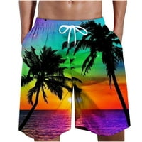Мъжки хавайски плажни къси панталони Графичен печат на талията на талията ежедневни летни къси панталони с джобни многоцветни размер xxxxl